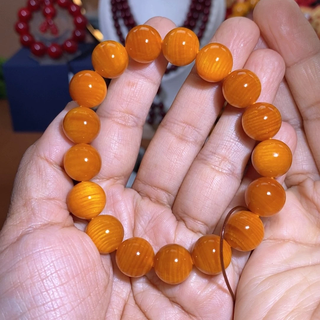 贝壳杉帝王血龙木1.2