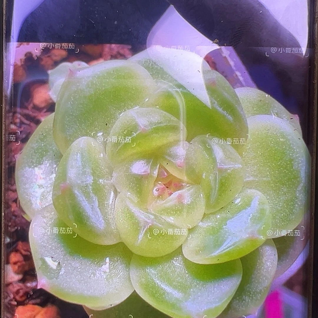 财富密码金币状态图