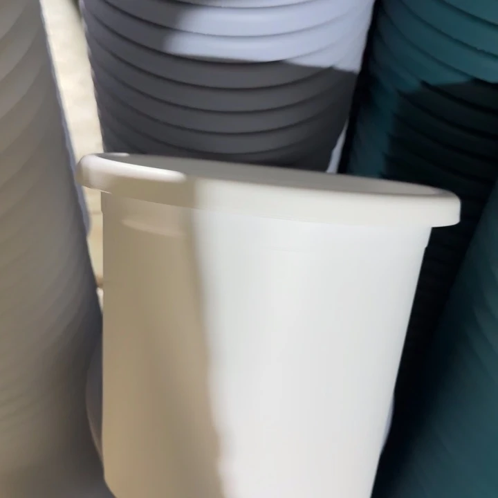 四季4号纯白无托10个特价微瑕