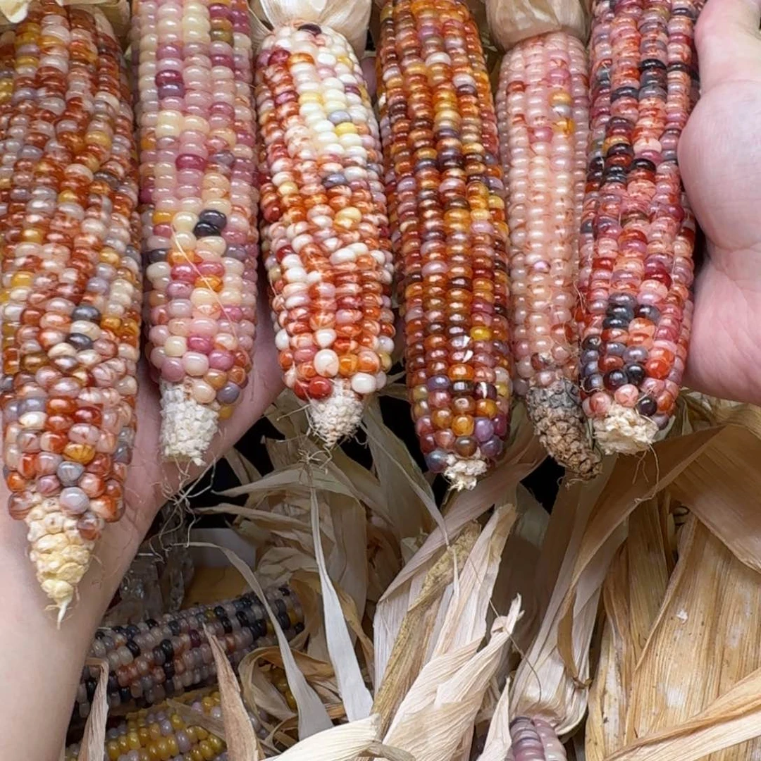 牵***花柏香籽/百香籽吊坠