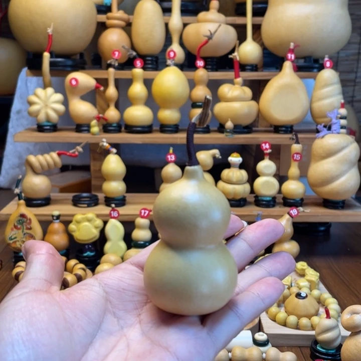 天然葫芦自然生长