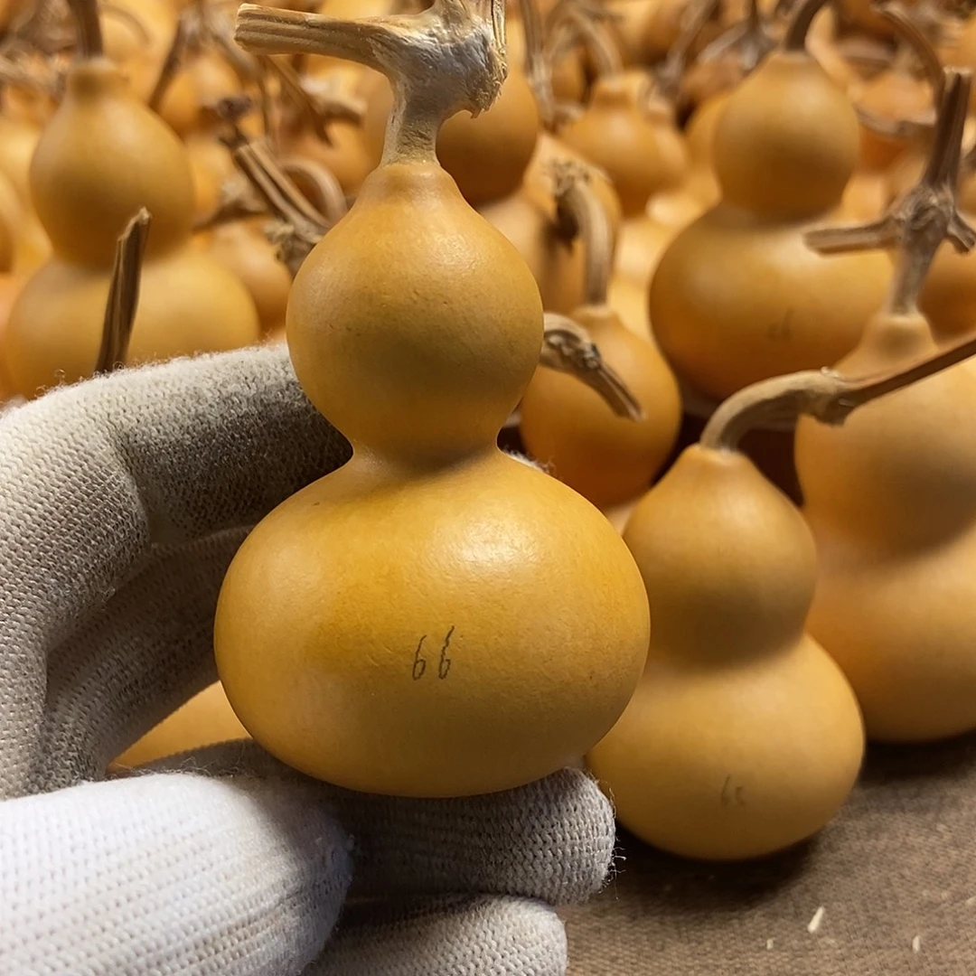 文玩葫芦 完美主义者 慎拍66