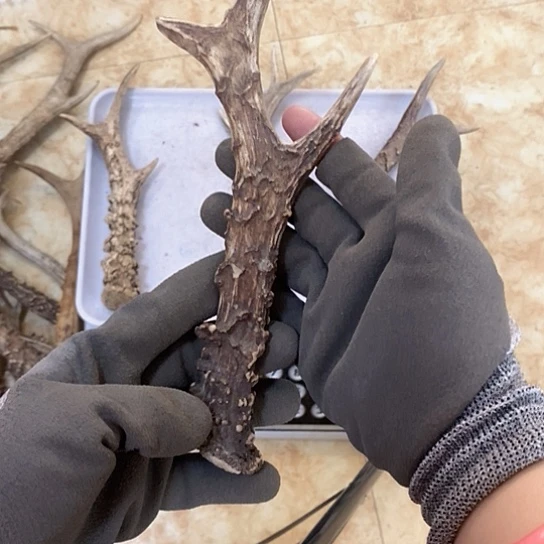 胡***子银S925鹿鹿。