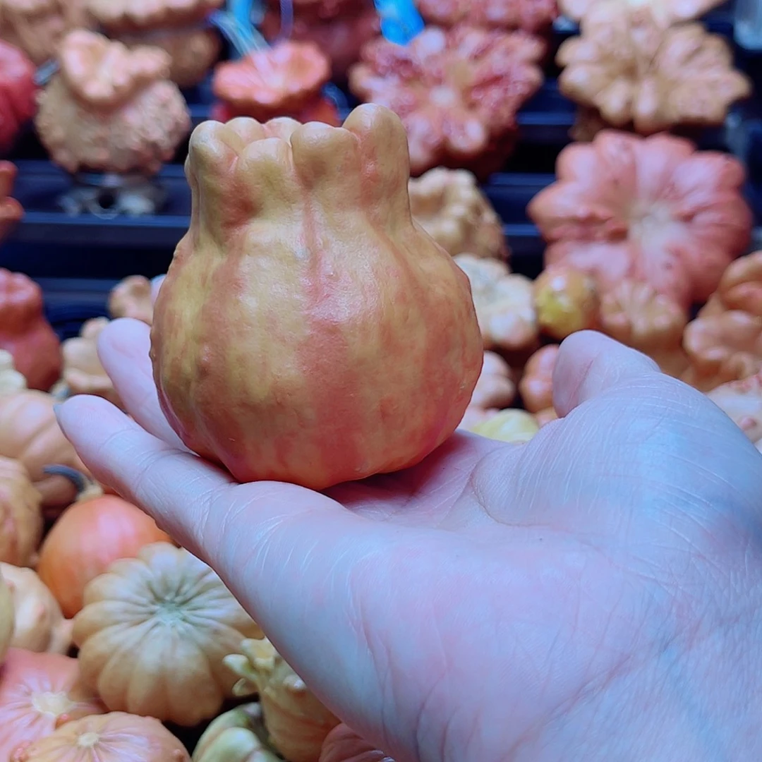 欣***成陶瓷墨西哥葫芦可盘可摆