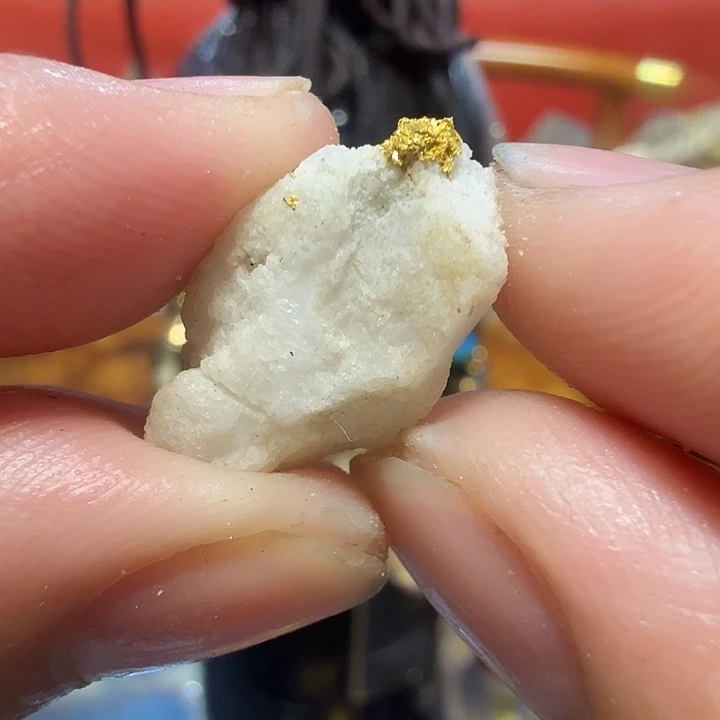 聚金阁天然明金矿标