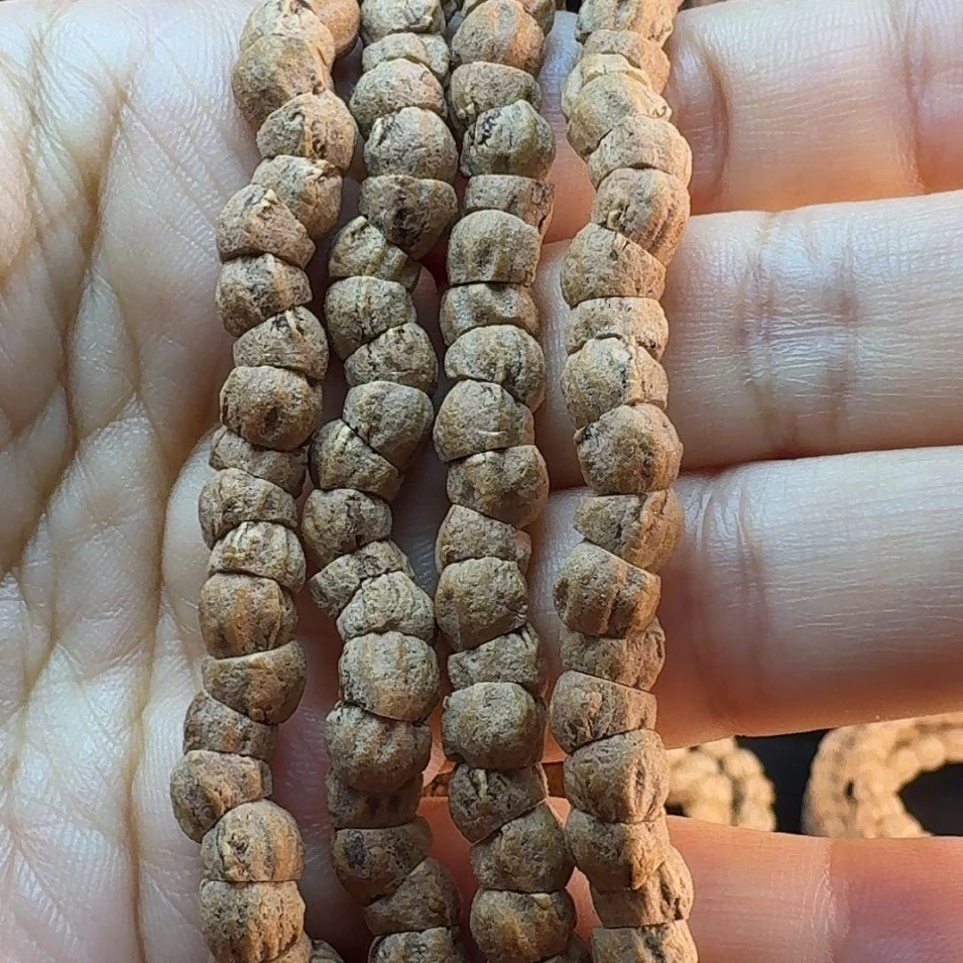 柏香籽/百香籽吊坠几何切红皮大肠百香籽