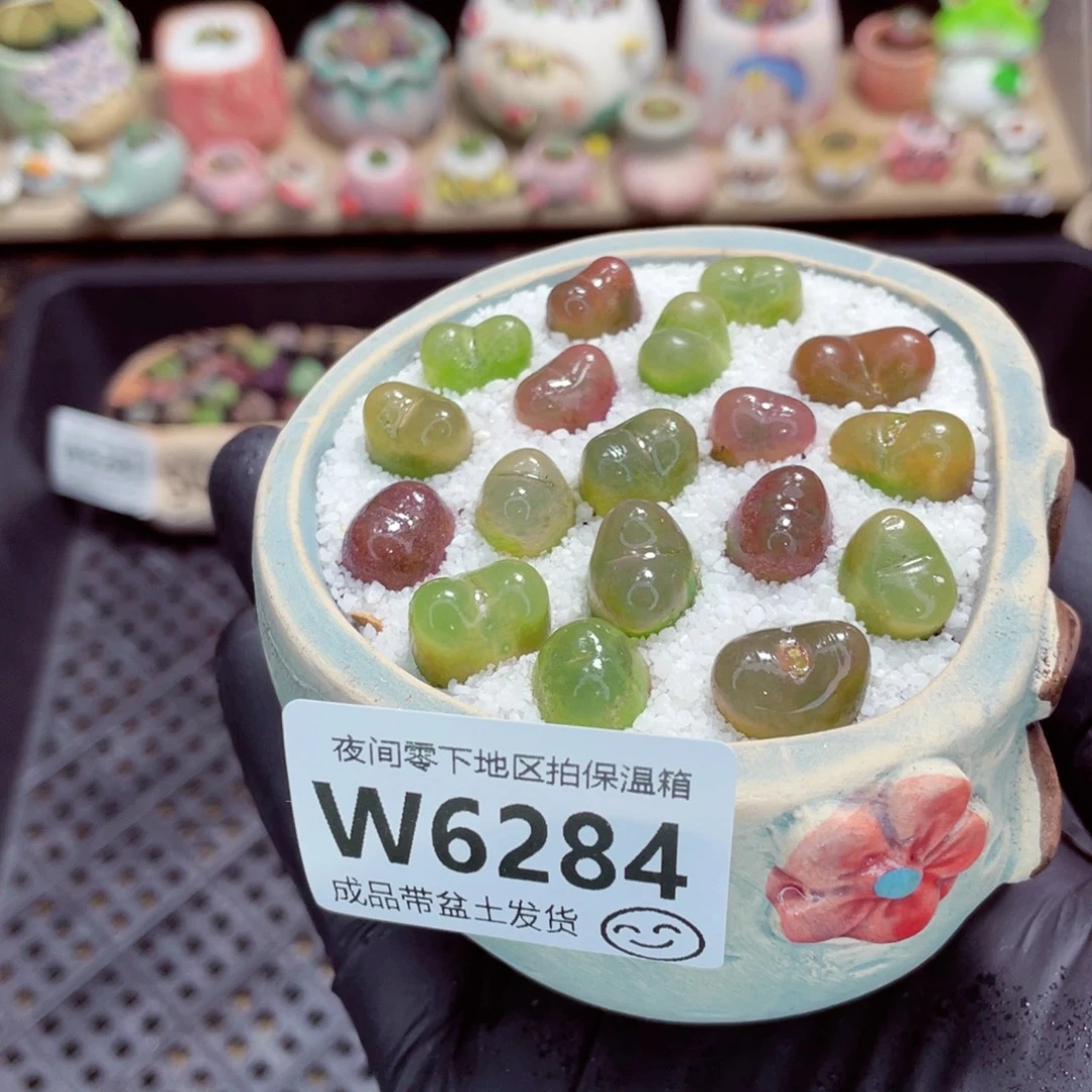 夜间零下地区拍保温箱w6284