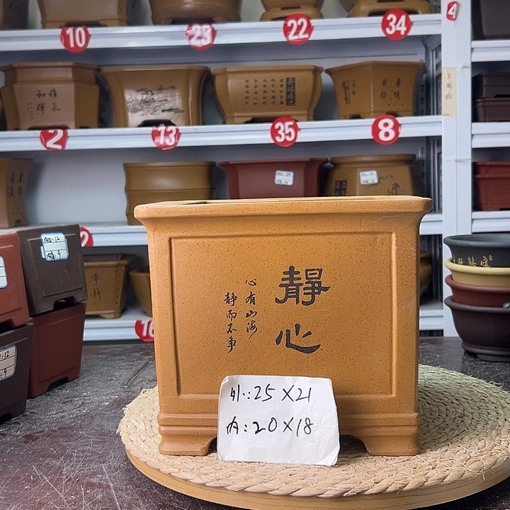 花盆紫砂蛇年大吉