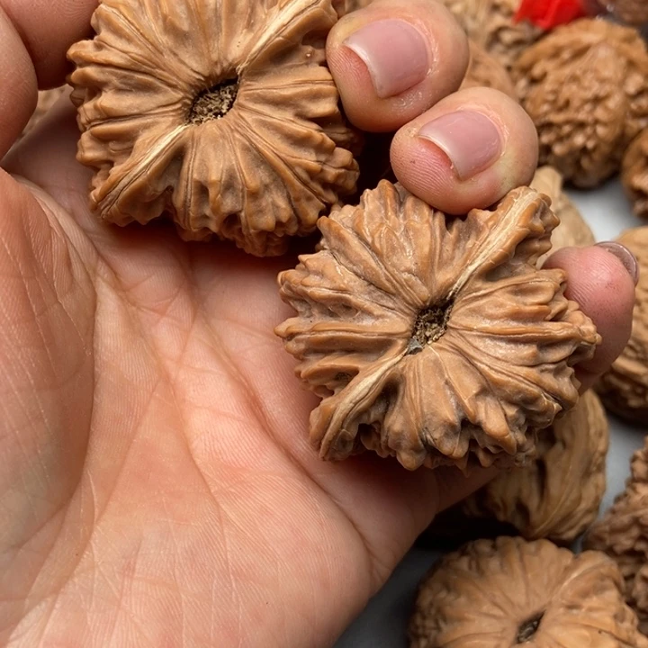 文玩核桃把件姐*✞四座楼