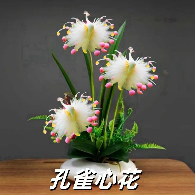 耐寒花卉孔雀心花室内外室内绿植盆栽浓香型四季开花庭院阳台盆地