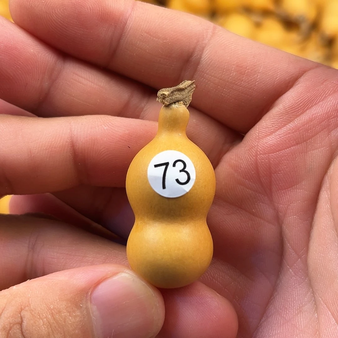 三葫芦葫芦葫芦葫芦73