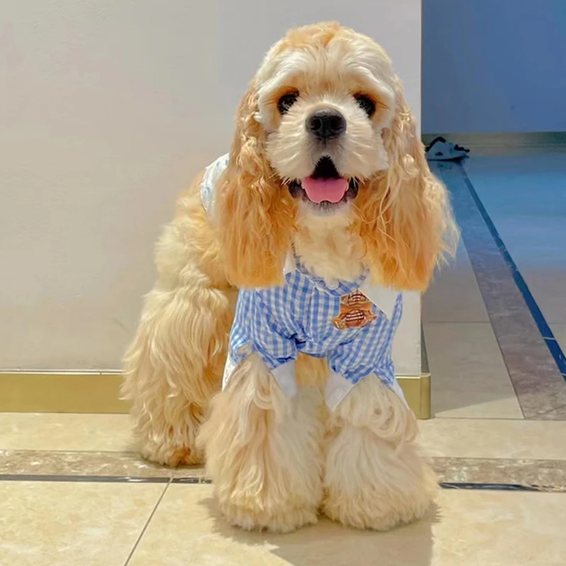 萌宠专属链接 美国可卡犬 美卡犬 宠物活体狗狗