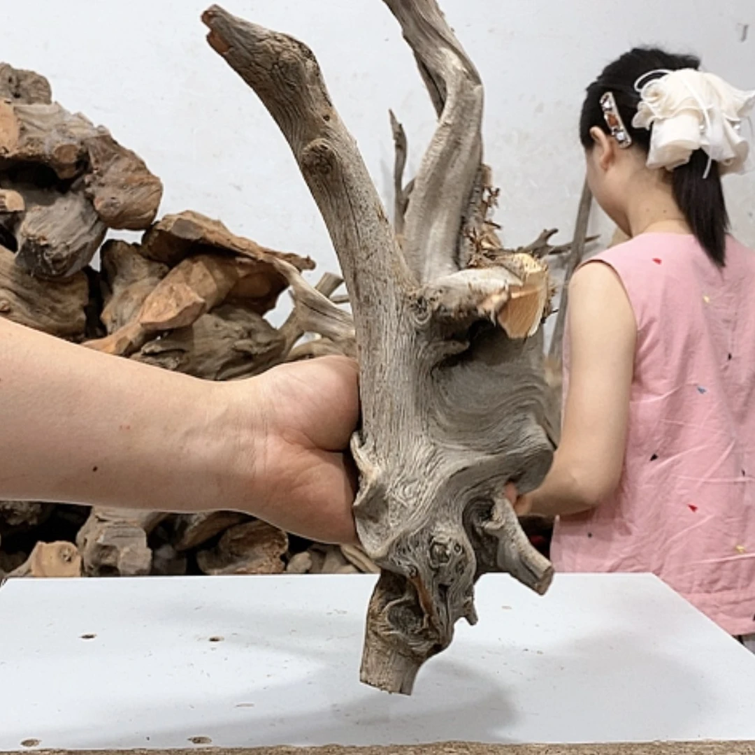 【闪购商品】柏木竹**人我们都是好孩子啊