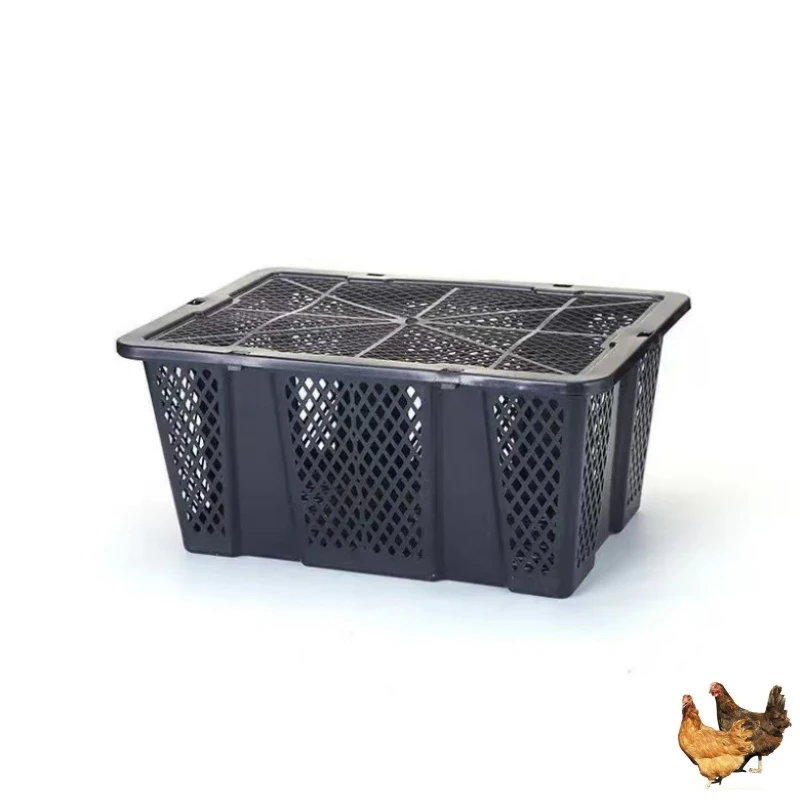 半斤脱温芦花五黑麻鸡塑料收纳筐防摔抗压最大容量8个