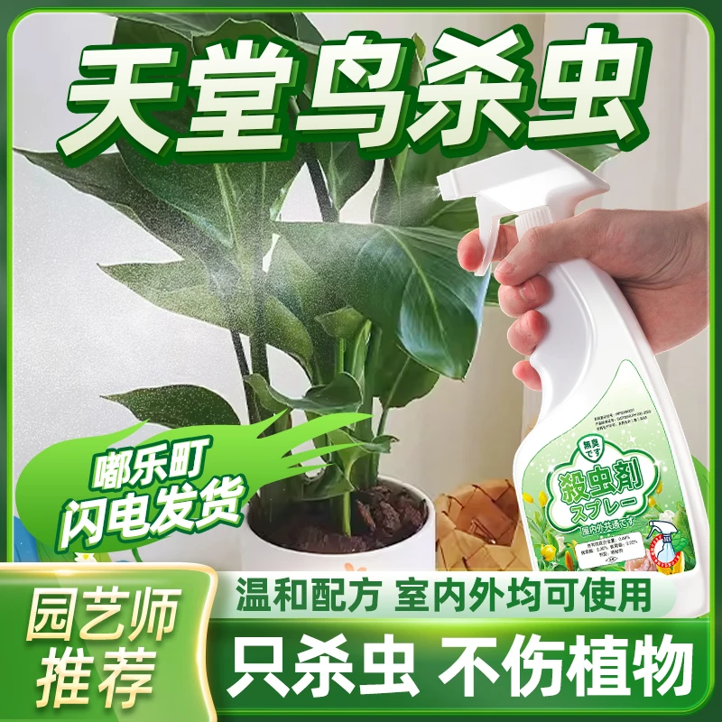天堂鸟杀虫剂除虫驱虫药长蚧壳虫介壳红蜘蛛生虫子药水土壤病虫害