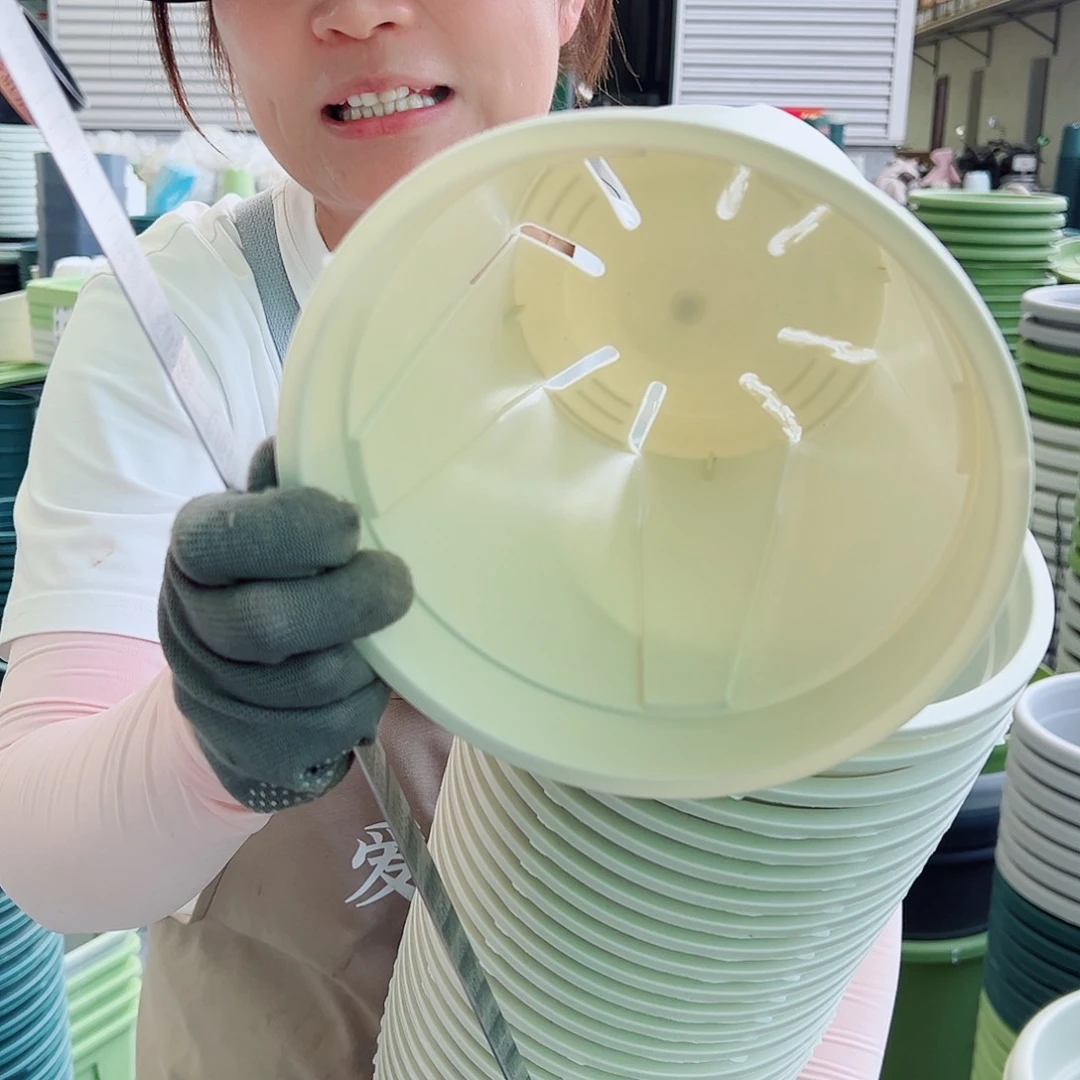 瑕疵青山盆3#米白色10个无托