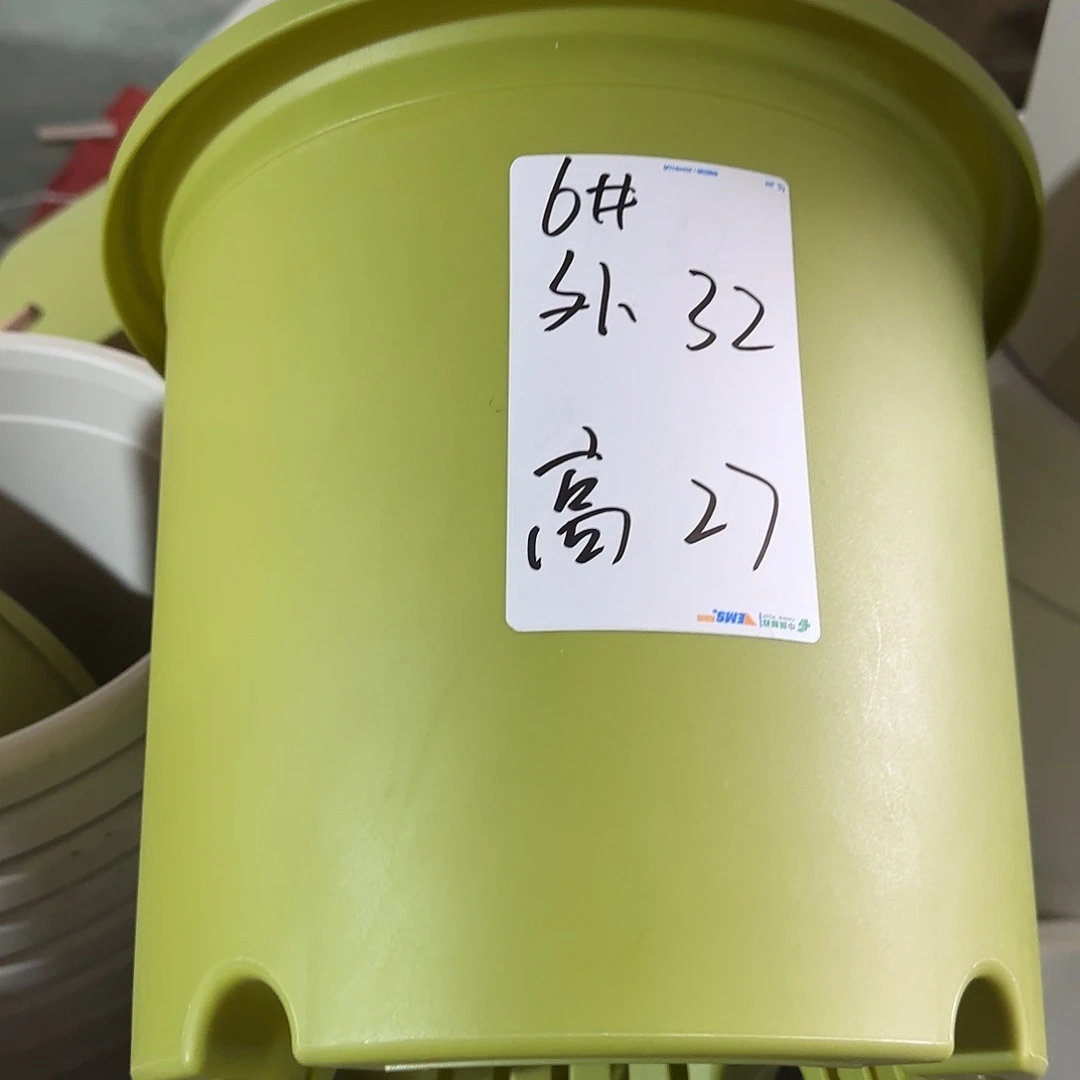 树脂四季6号带托5个果绿