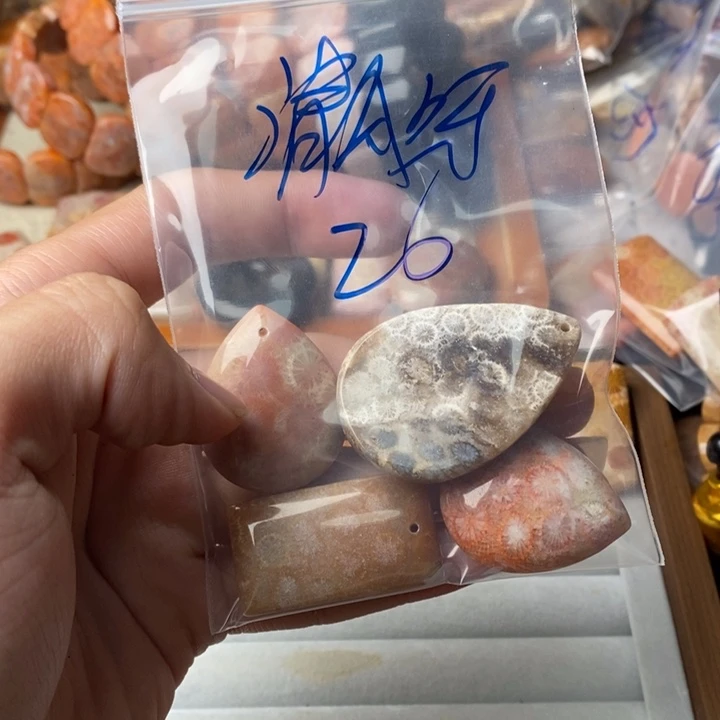 清***呀硅化玉未镶嵌珊瑚玉