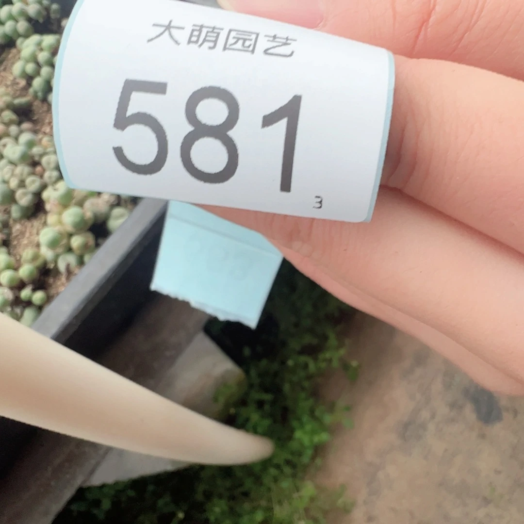 僖****0000581 一物一拍.……