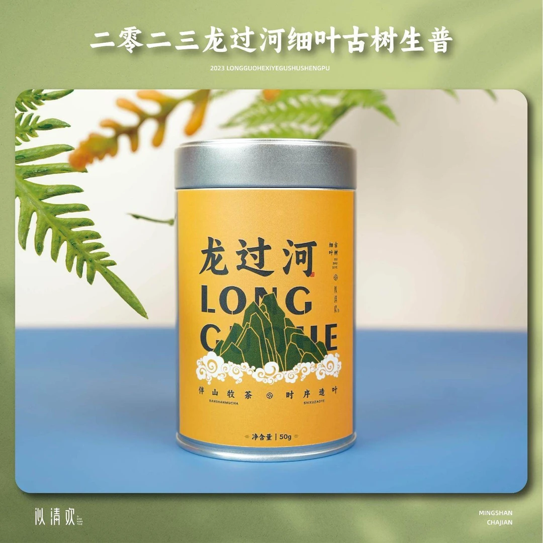 似清欢普洱茶山韵果香2023倚邦龙过河细叶(猫耳朵)生普 名山茶荐