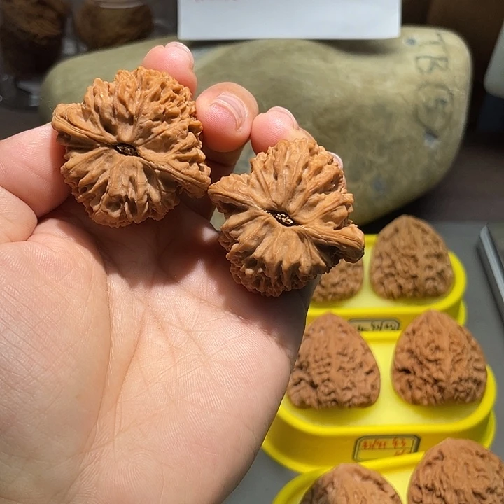 文玩核桃把件7号，43尺全品三角疆
