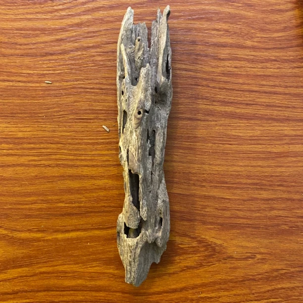 沉香【财老板沉香】海南土沉虫漏58克+多样性发其一