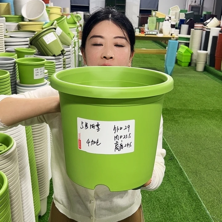 特价5号四季口29高24.5白色5只无托