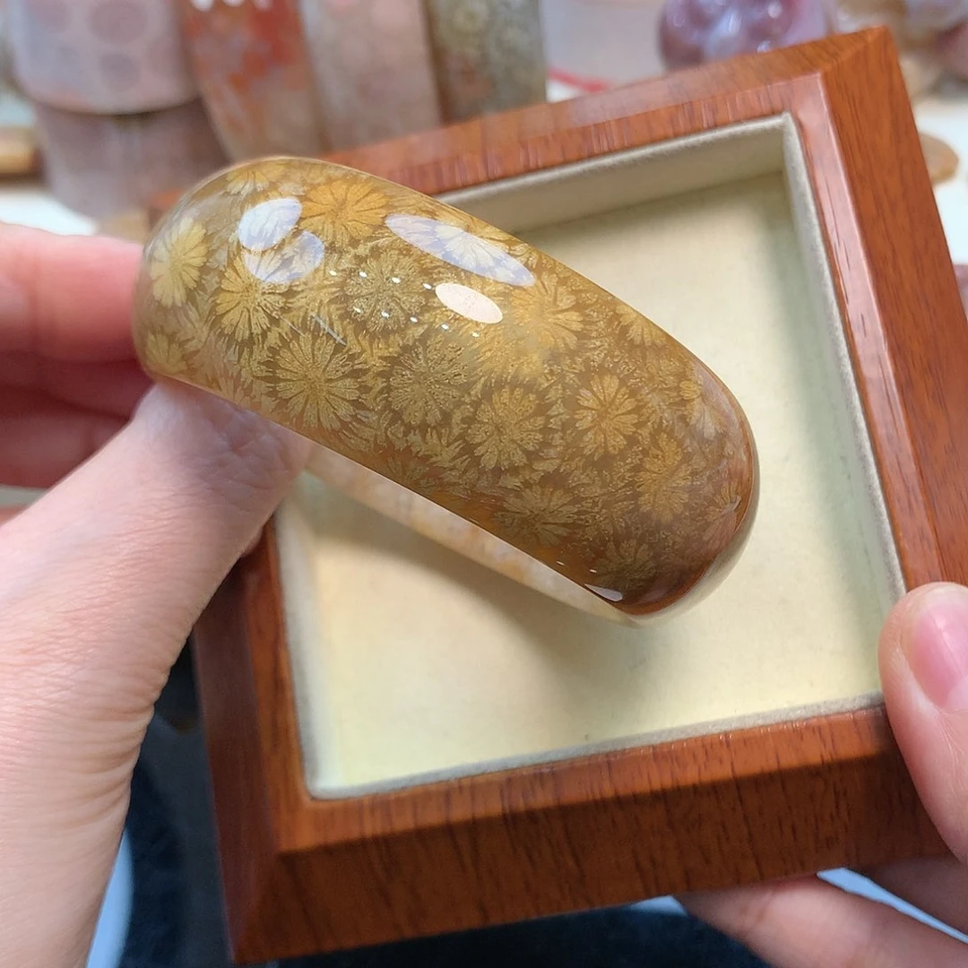 未镶嵌手镯硅化珊瑚（珊瑚玉）57.8口2500