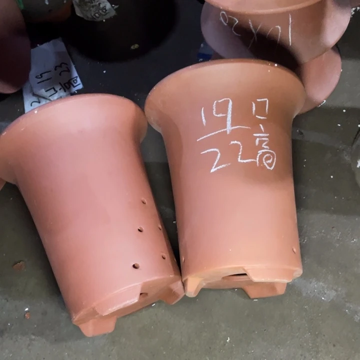 学生周三周四自作自受
