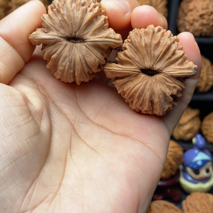 吊坠龙脊菩提41尺全品楼子