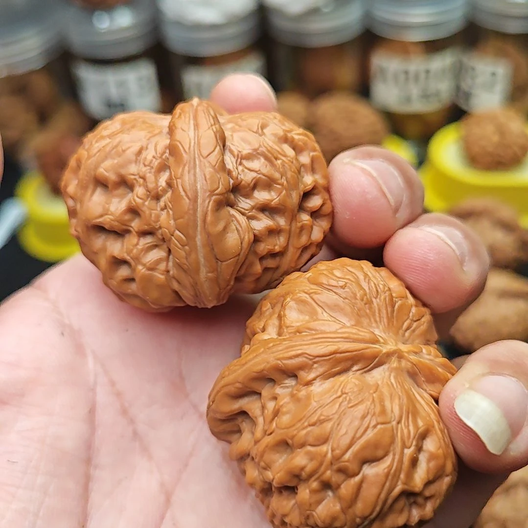 桃核把件S****_元宝有修