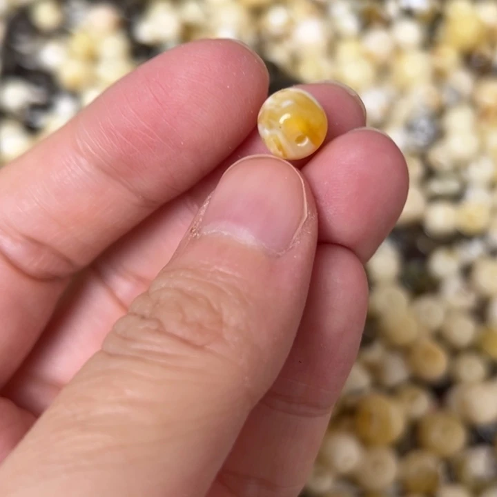 蜜蜡未镶嵌裸石8.1mm一个