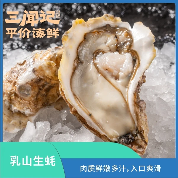 鲜活生蚝/乳山生蚝/大连生蚝/法国生蚝/吉拉多生蚝