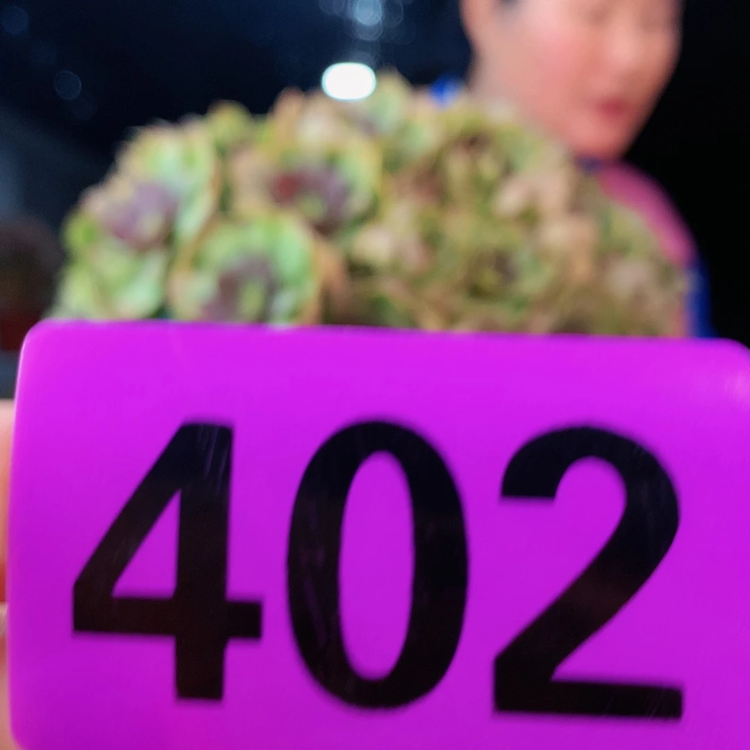 sssssssssssssssss402