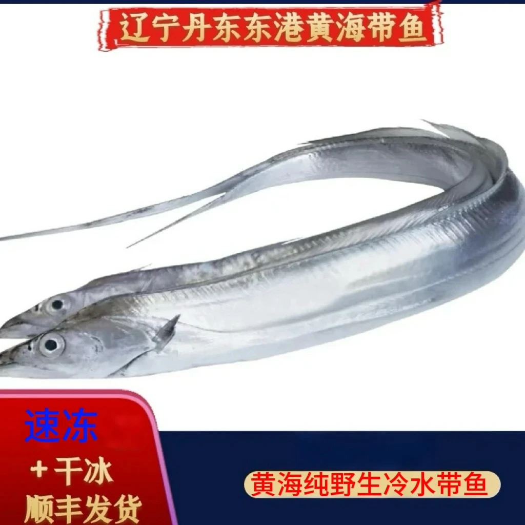 纯野生深海带鱼 3斤装4条左右 约3指宽 极个别皮毛不好看速冻发货