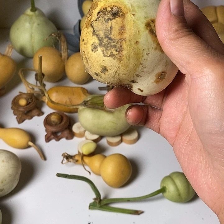 顶***上异形葫芦手把件小葫芦