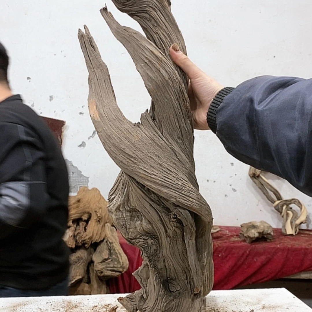 【闪购商品】柏木范*旺我们都是好孩子