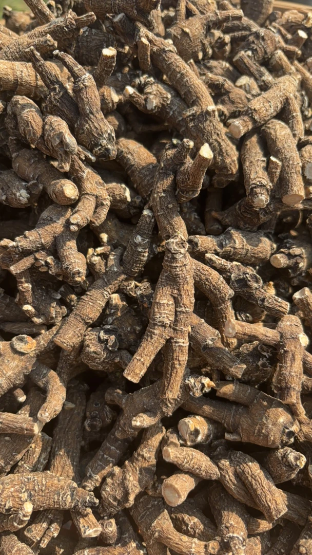 云南土特产，，，黑西