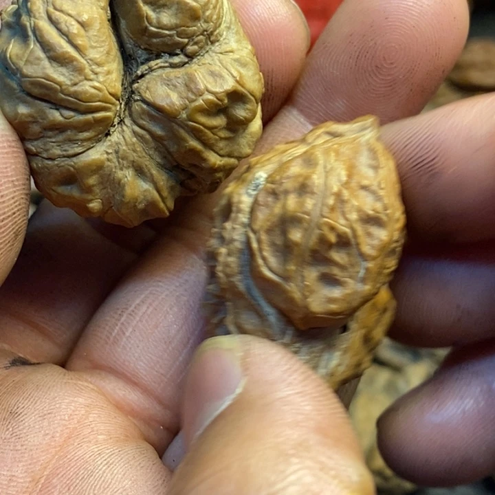 吊坠文玩核桃娜姐243
