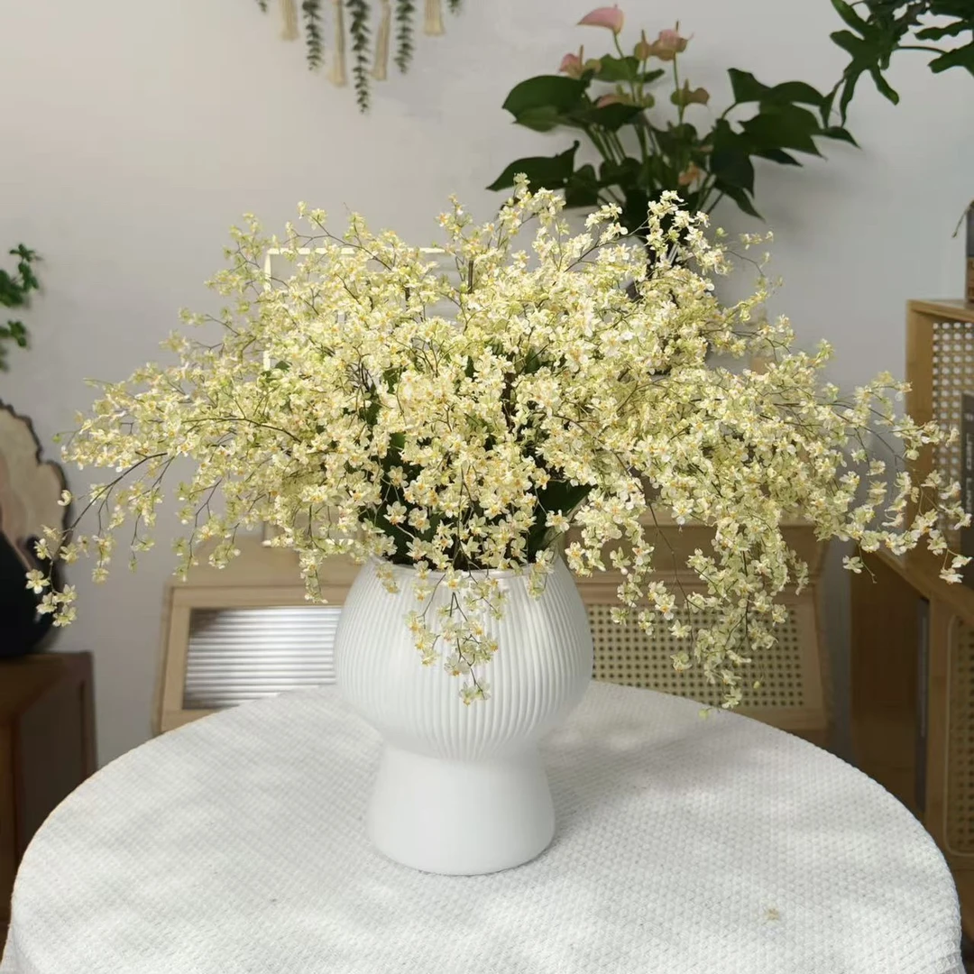 【送蘑菇花盆】黄色9-15支花剑梦香兰文心兰精致兰花名贵花卉盆栽
