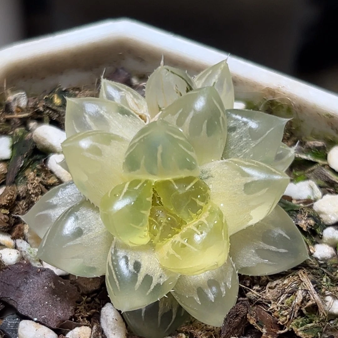 恭喜发财大吉大利0309