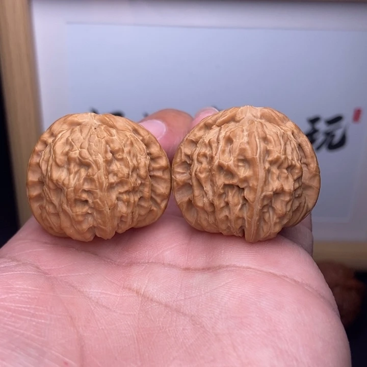 核桃全品小白狮子