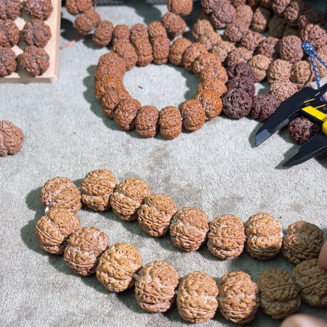 啊***啊吊坠金刚菩提8、粗筋古龙25mm