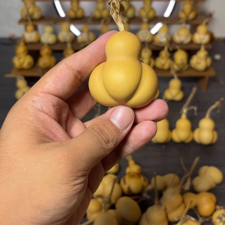 福***多葫芦葫芦葫芦葫芦