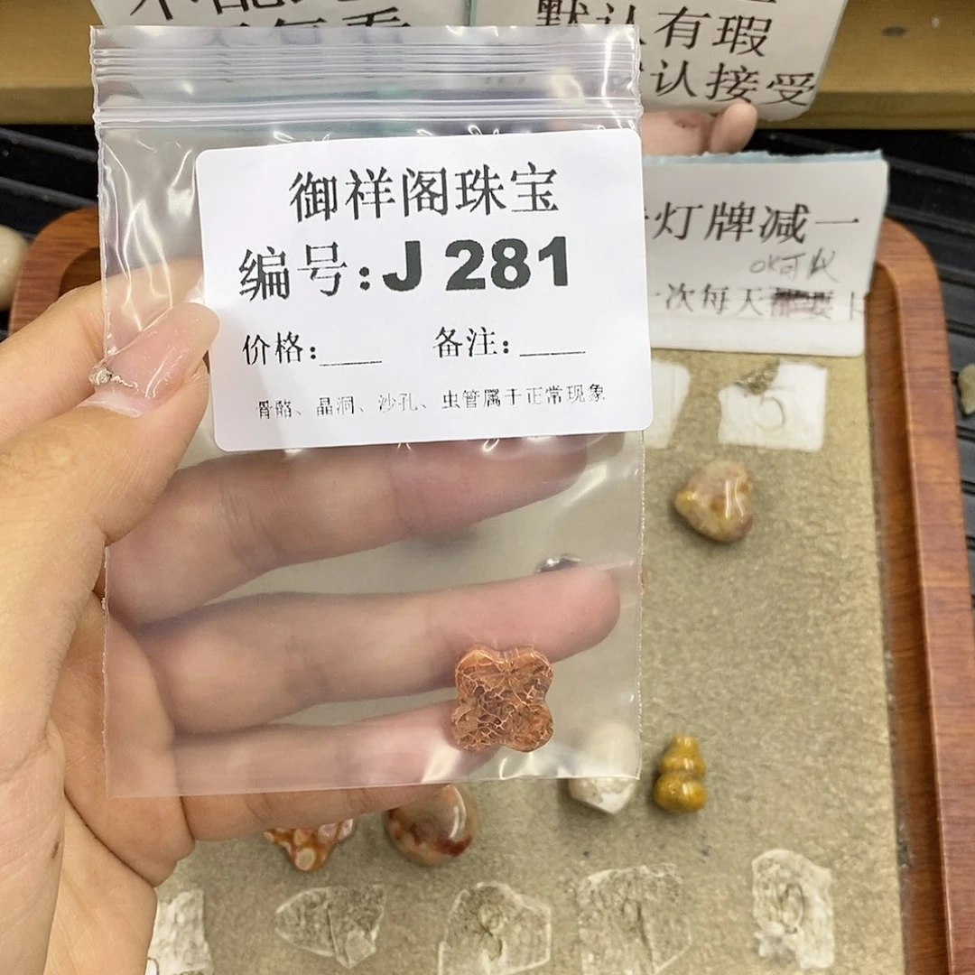 硅化珊瑚（珊瑚玉）未镶嵌颈饰D****?