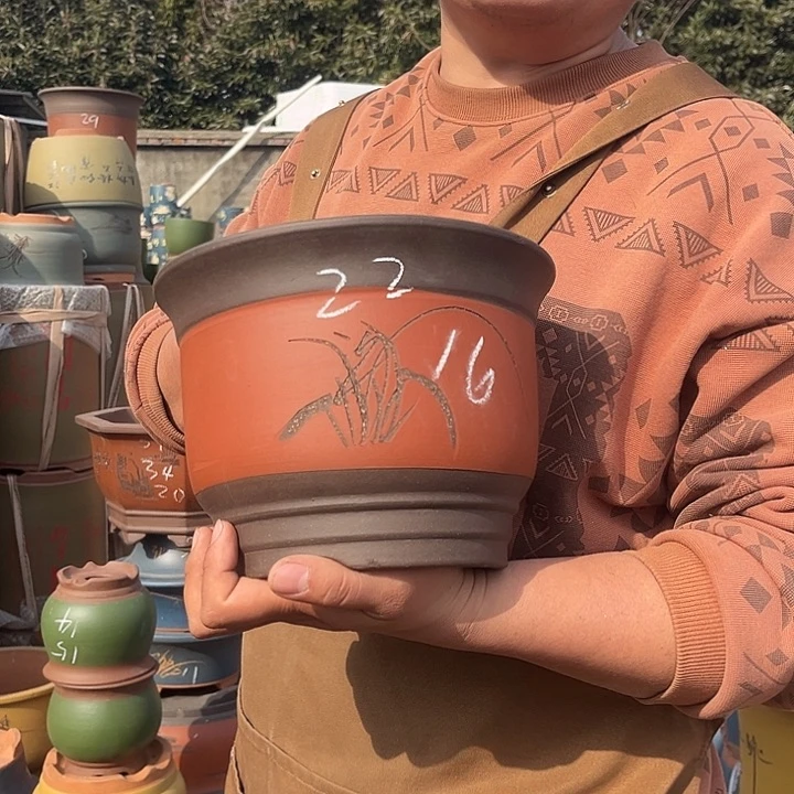 紫砂紫砂花盆盆栽