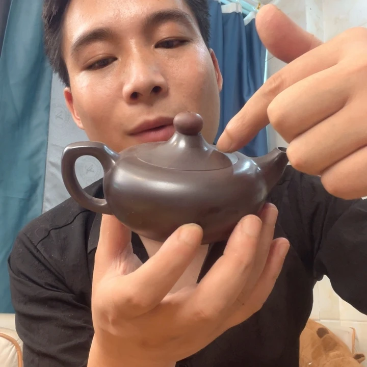 茶壶紫砂处理一把