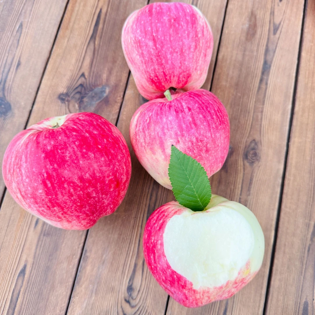 2025年世界一号新苹果现摘现发新鲜水果4斤包邮