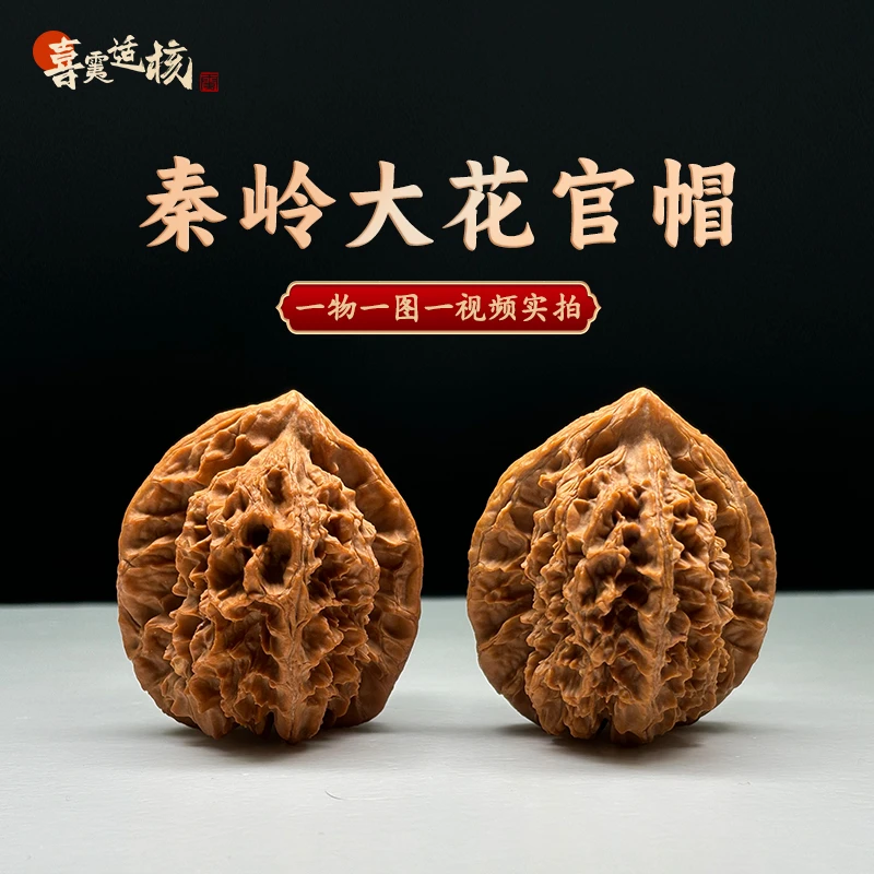 【一物一图一视频】47mm秦岭大花官帽小众实拍文玩核桃A245