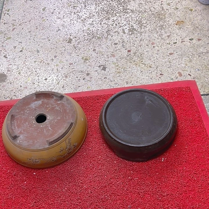 红陶好***树。。。。。。。。。。